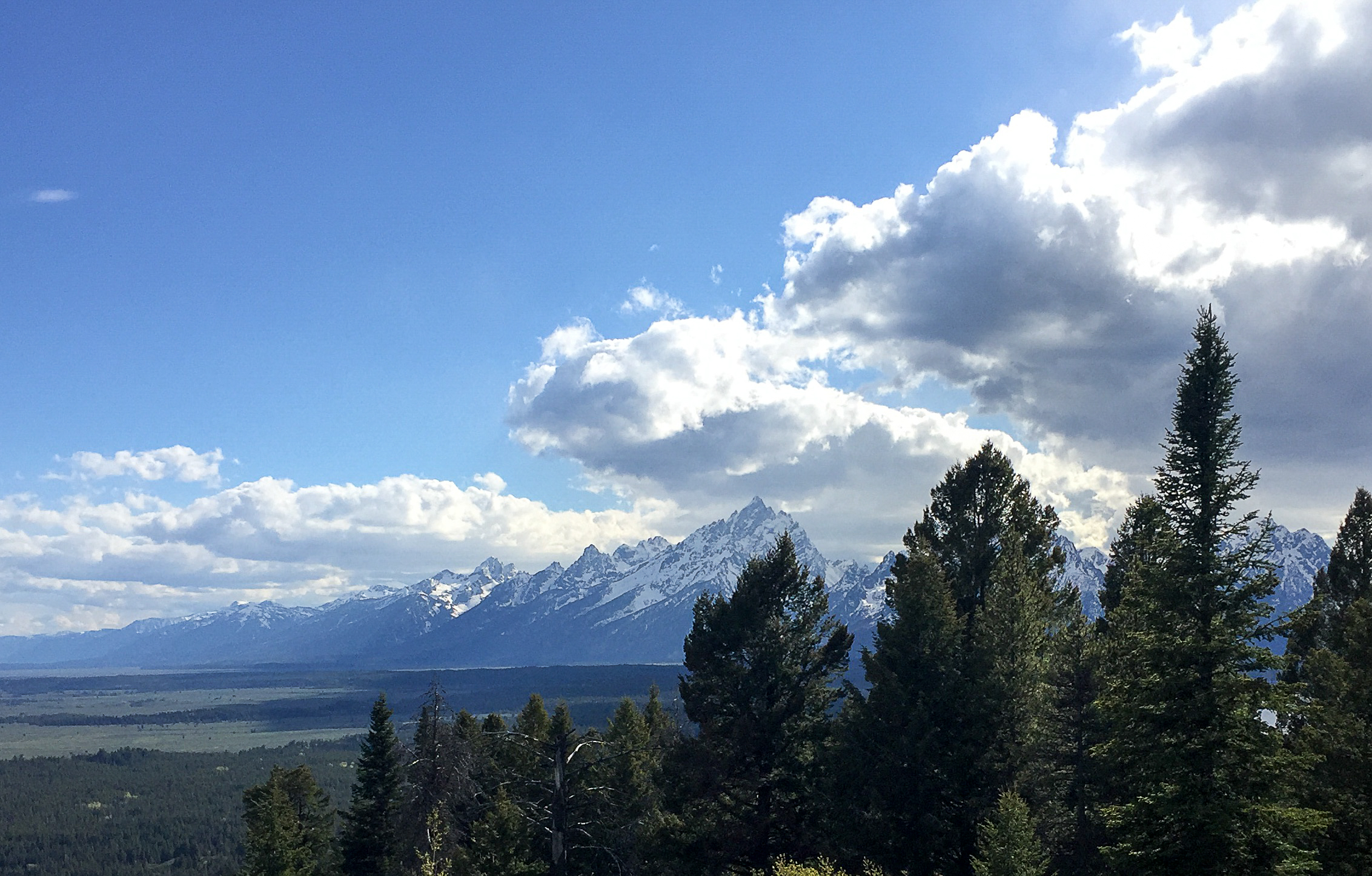 Grand Tetons from Signal Mountain